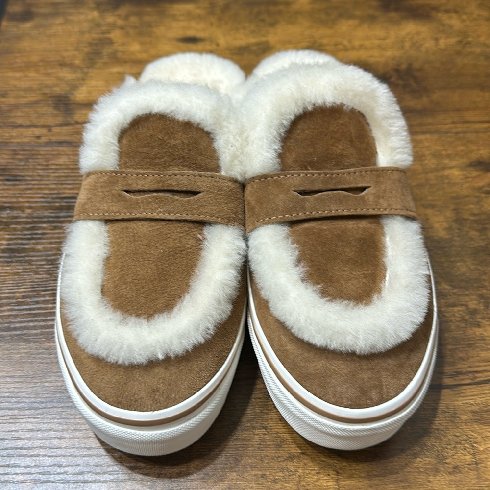 Vans mules